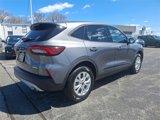 New 2025 Ford Escape Active w/ Cold Weather Package image 4