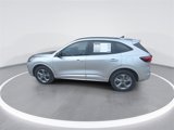 Used 2024 Ford Escape ST-Line image 5
