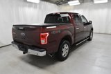 Used 2016 Ford F150 XLT w/ Equipment Group 302A Luxury image 5