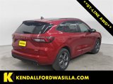 Used 2024 Ford Escape ST-Line w/ Tech Pack #1 image 5