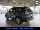 Used 2020 Ford Escape Titanium image 6