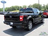 Used 2018 Ford F150 XLT w/ Equipment Group 302A Luxury image 5