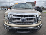Used 2013 Ford F150 XLT w/ Luxury Equipment Group image 2