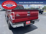 Used 2013 Ford F150 XLT w/ Luxury Equipment Group image 6