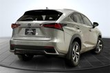 Used 2021 Lexus NX 300h AWD w/ Premium Package image 2