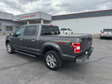 Used 2019 Ford F150 XLT w/ Equipment Group 302A Luxury image 4