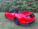 Used 2020 Ford Mustang Premium image 2