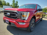 Certified 2021 Ford F150 XLT w/ Equipment Group 302A High image 4