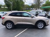 Used 2020 Ford Escape SE image 6