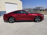 Used 2016 Ford Mustang Premium w/ Equipment Group 201A image 3