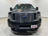 Used 2012 Ford F150 XLT w/ XLT Chrome Pkg image 2
