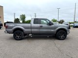 Used 2014 Ford F150 XLT w/ Equipment Group 302A Luxury image 6