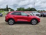 Used 2022 Ford Escape SEL w/ Technology Package image 4