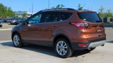 Used 2017 Ford Escape SE w/ Equipment Group 201A image 3