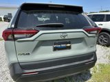 Used 2023 Toyota RAV4 XLE image 5