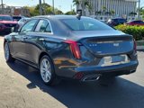 Used 2021 Cadillac CT4 Luxury w/ Sun And Sound Package image 3