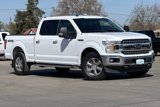Used 2019 Ford F150 XLT w/ Equipment Group 302A Luxury image 2