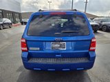 Used 2011 Ford Escape XLT w/ 202A Rapid Spec Order Code image 5