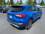 Used 2020 Ford Escape SE Sport image 5