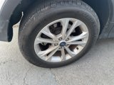 Used 2019 Ford Escape SE image 3