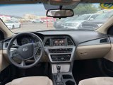Used 2016 Hyundai Sonata SE w/ Cargo Package image 6