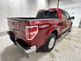 Used 2013 Ford F150 Lariat w/ Mid Equipment Group image 5