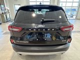Certified 2023 Ford Escape Platinum image 4