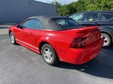 Used 2000 Ford Mustang Convertible image 5