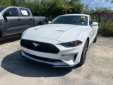 Used 2019 Ford Mustang Coupe w/ Equipment Group 101A image 2