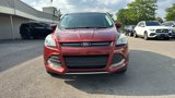 Used 2015 Ford Escape SE image 2