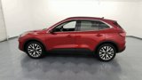 Used 2020 Ford Escape Titanium image 5