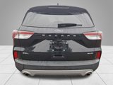 Used 2022 Ford Escape SEL w/ Technology Package image 5