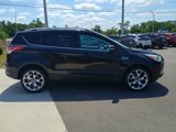 Used 2014 Ford Escape Titanium image 4