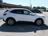 Used 2020 Ford Escape SE image 2
