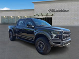 Used 2019 Ford F150 Raptor w/ Equipment Group 802A Luxury image 3