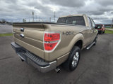 Used 2013 Ford F150 XLT w/ Luxury Equipment Group image 5
