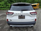Used 2020 Ford Escape SE image 6