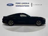 Used 2016 Ford Mustang Coupe image 4