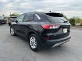 Used 2021 Ford Escape SE image 5