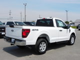 New 2025 Ford F150 XL w/ Equipment Group 103A High image 5