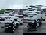 Used 2022 Ford Escape SE image 4