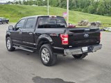 Used 2019 Ford F150 XLT w/ Equipment Group 302A Luxury image 3