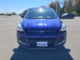 Used 2014 Ford Escape SE image 2