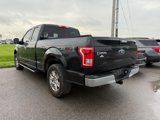Used 2015 Ford F150 XLT w/ Equipment Group 301A Mid image 3