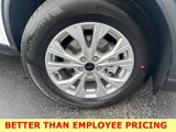 New 2025 Ford Escape Active w/ Tech Pack #1 image 5