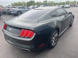 Used 2016 Ford Mustang Coupe image 4