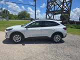 New 2025 Ford Escape Active w/ Cold Weather Package image 4