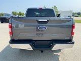 Certified 2019 Ford F150 XLT w/ Equipment Group 301A Mid image 4