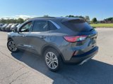 Used 2021 Ford Escape SEL image 3