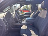 Used 2019 Ford F150 XLT w/ Equipment Group 302A Luxury image 4